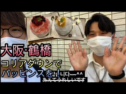 【2020年最新】大阪・鶴橋のコリアンタウンでパッピンスを食べてみた！！