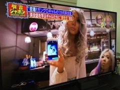 有吉ジャポン 関正夫先生による英会話レッスン5