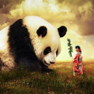 中国のパンダ